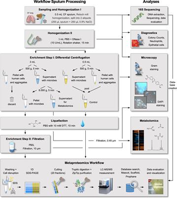 An Innovative Protocol for Metaproteomic Analyses of Microbial Pathogens in Cystic Fibrosis Sputum